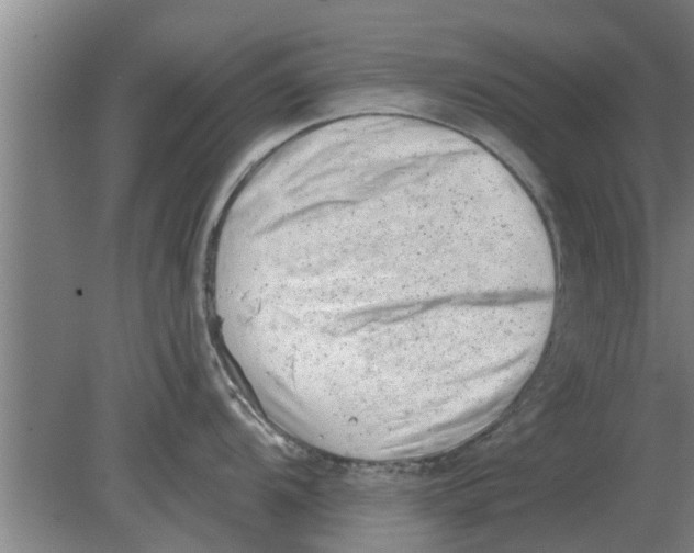 X0000080181104200612302238