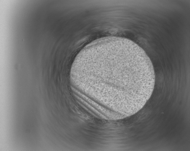 X0000080181105200612302238