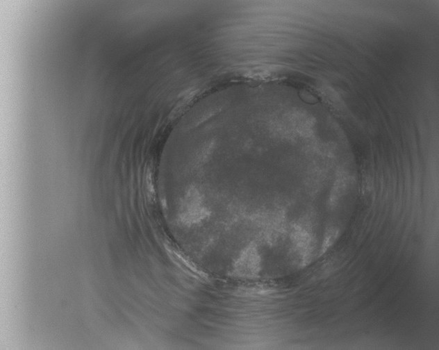 X0000080181106200612302238