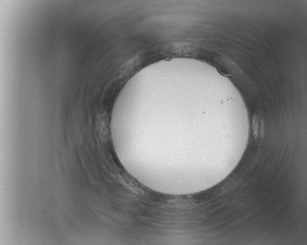 X0000080181107200612302238