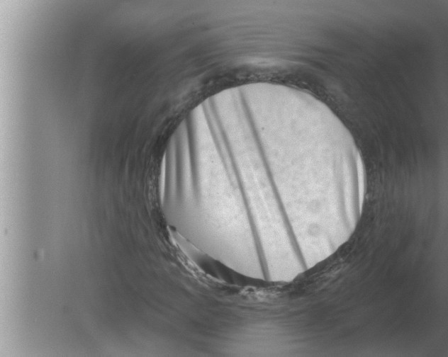 X0000080181109200612302238