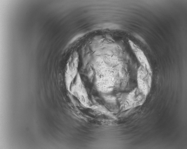 X0000080181112200612302238