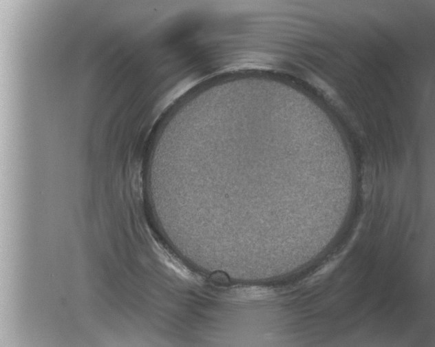 X0000080181113200612302238