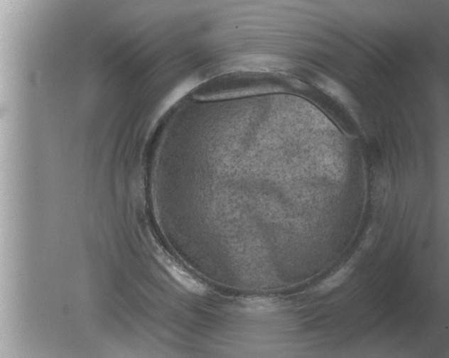 X0000080181114200612302238