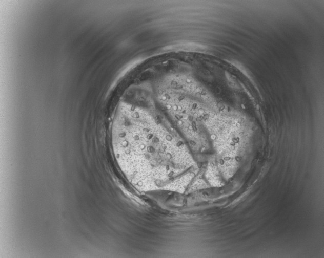 X0000080181115200612302238