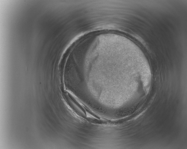 X0000080181118200612302238