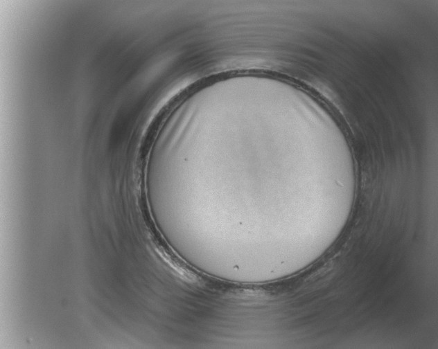 X0000080181119200612302238