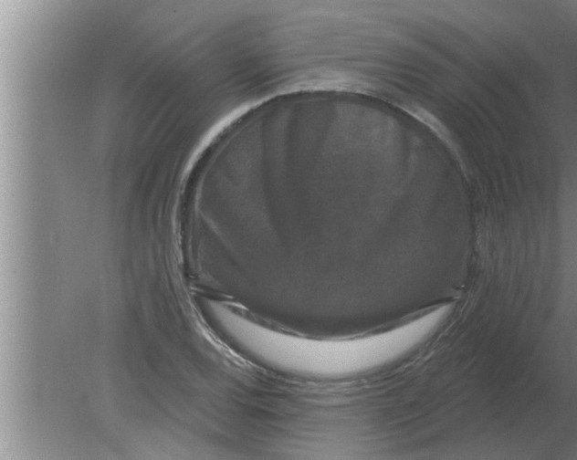 X0000080181120200612302238