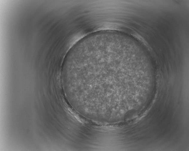 X0000080181121200612302238