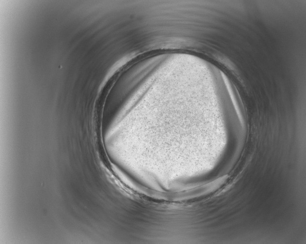 X0000080181122200612302238