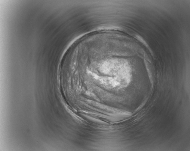 X0000080181124200612302238