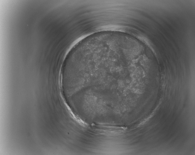 X0000080181125200612302238