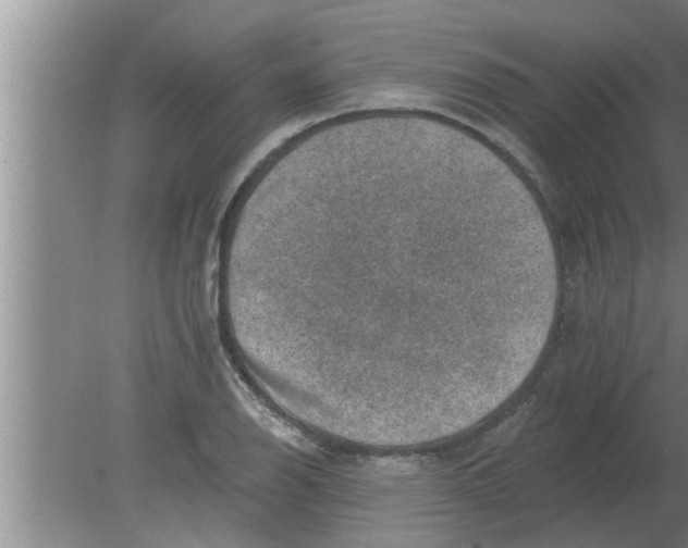 X0000080181126200612302238