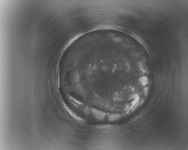 X0000080181127200612302238