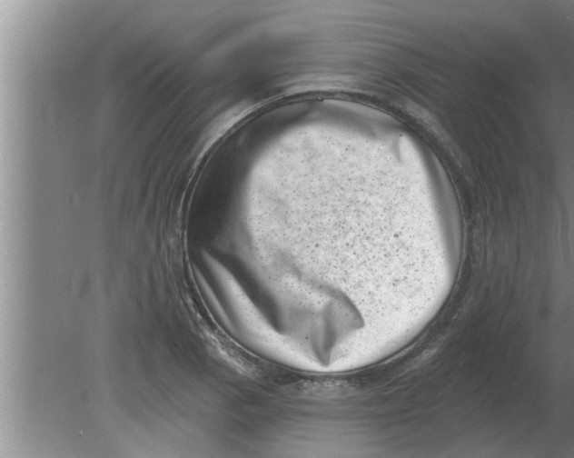 X0000080181129200612302238