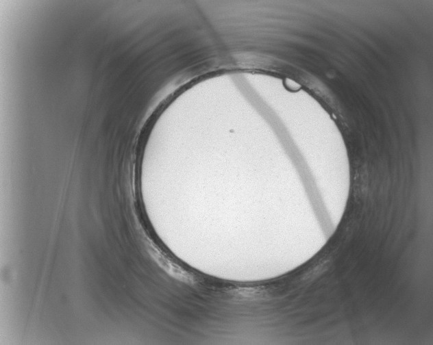 X0000080181130200612302238