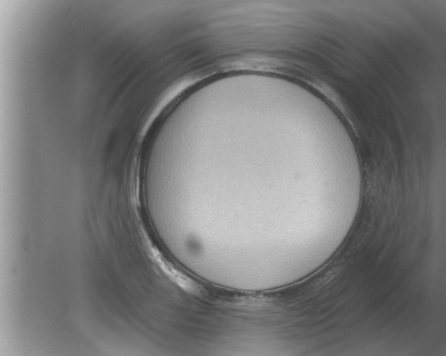 X0000080181131200612302238