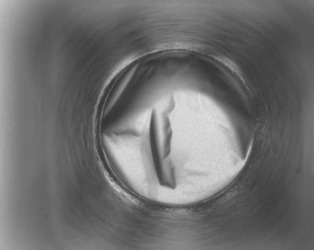 X0000080181135200612302238