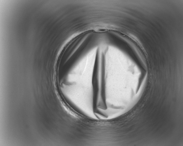 X0000080181136200612302238