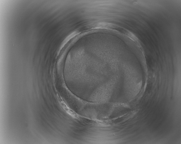 X0000080181138200612302238