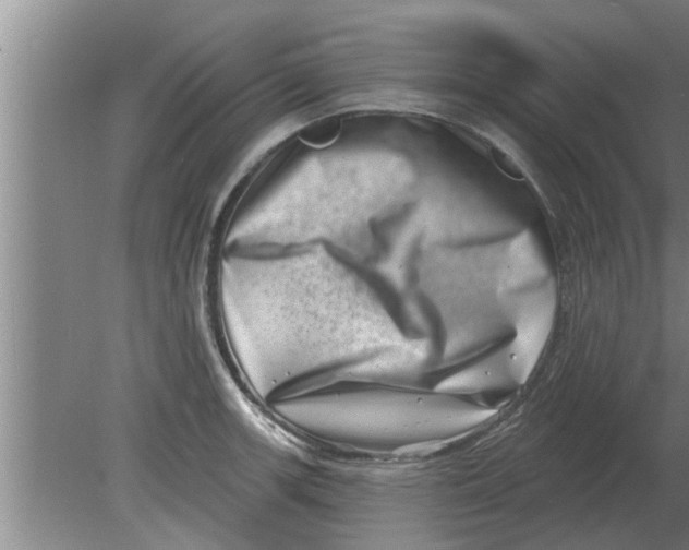 X0000080181139200612302238