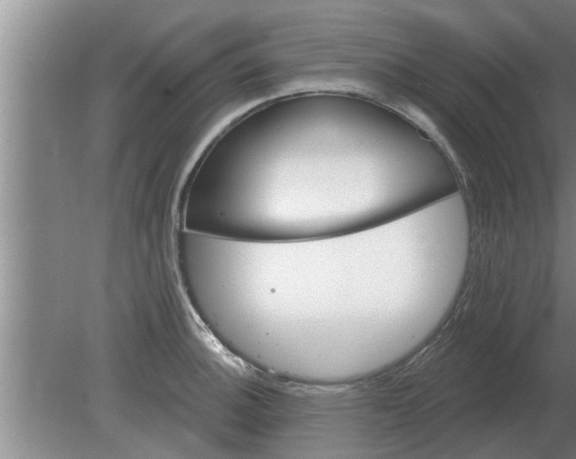 X0000080181140200612302238