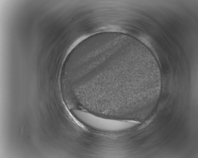 X0000080181141200612302238