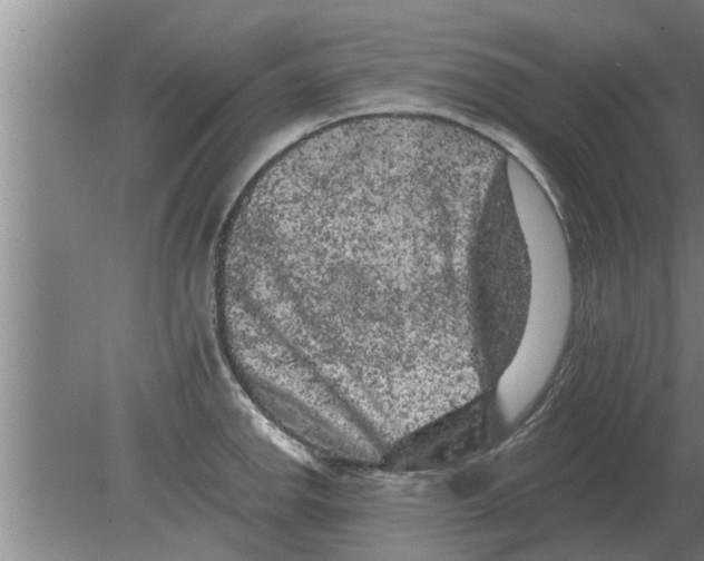 X0000080181142200612302238