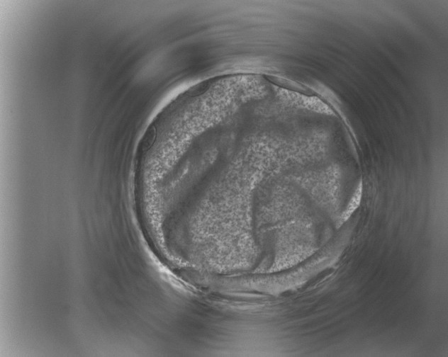 X0000080181147200612302238