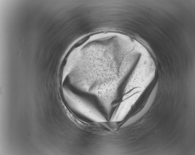 X0000080181148200612302238