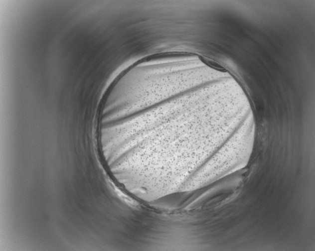 X0000080181149200612302238