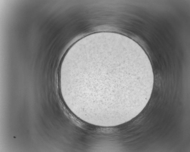 X0000080181150200612302238