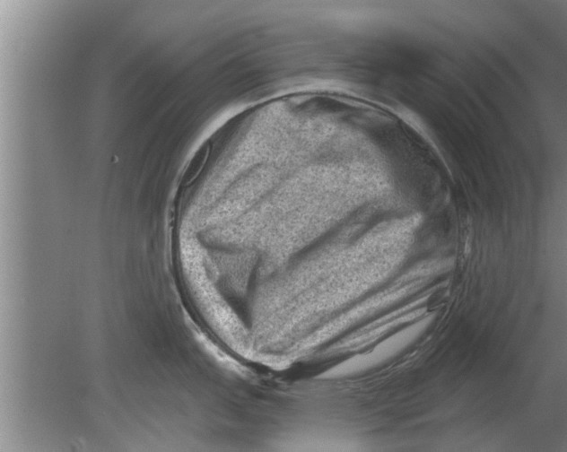 X0000080181151200612302238