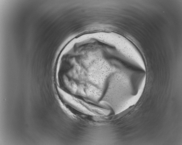 X0000080181152200612302238