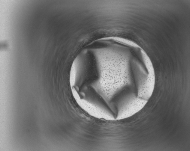 X0000080181153200612302238