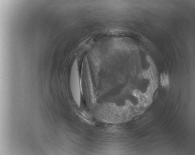 X0000080181155200612302238