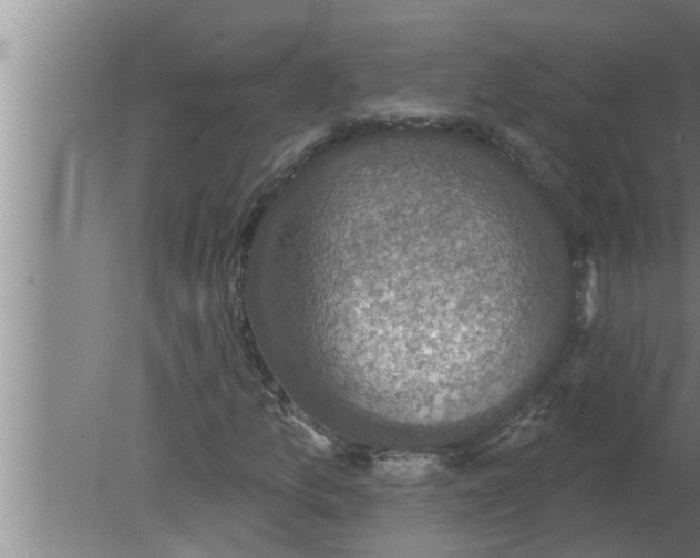 X0000080181157200612302238