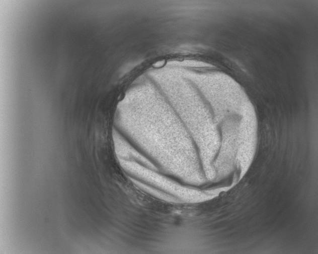 X0000080181158200612302238