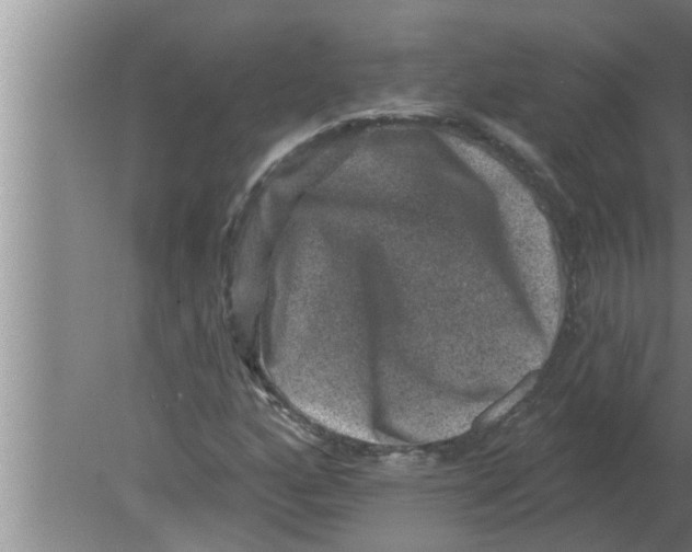 X0000080181160200612302238