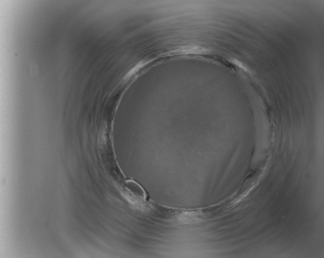 X0000080181161200612302238