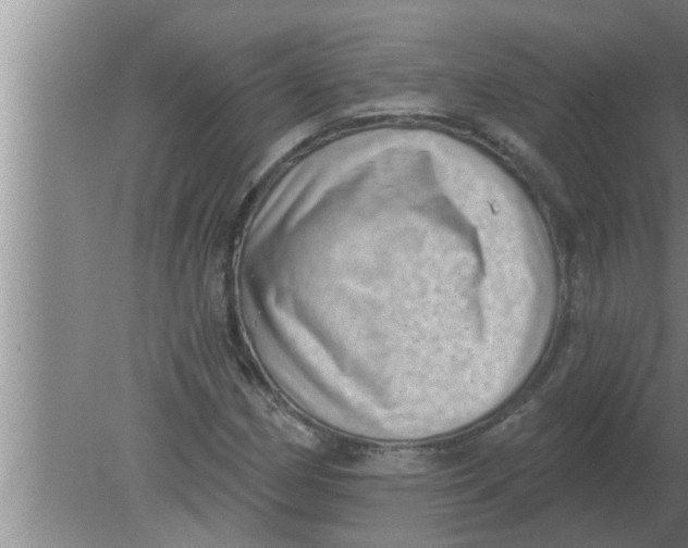 X0000080181162200612302237