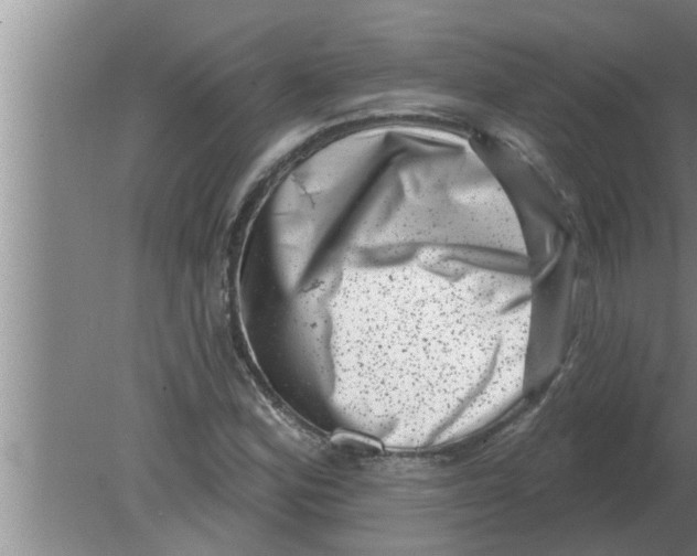 X0000080181164200612302237