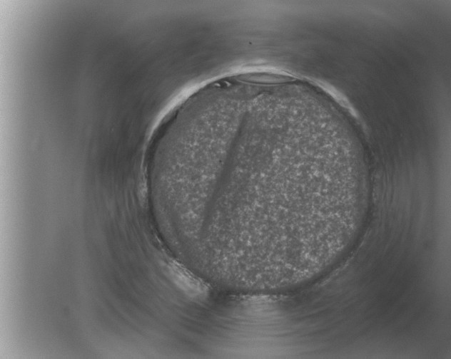 X0000080181167200612302237