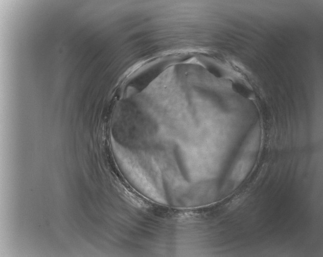 X0000080181169200612302237