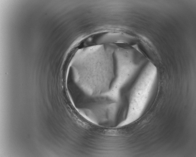 X0000080181172200612302237