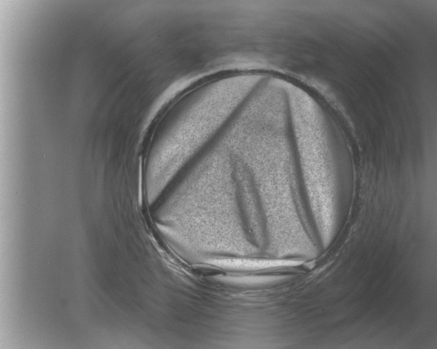 X0000080181175200612302237