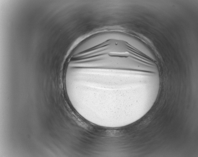 X0000080181176200612302237