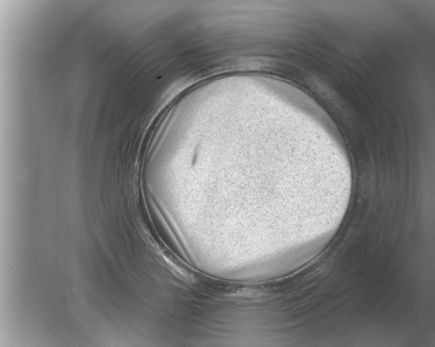 X0000080181178200612302237