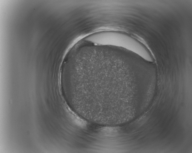 X0000080181179200612302237