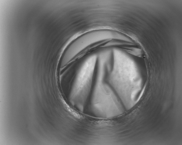 X0000080181181200612302237